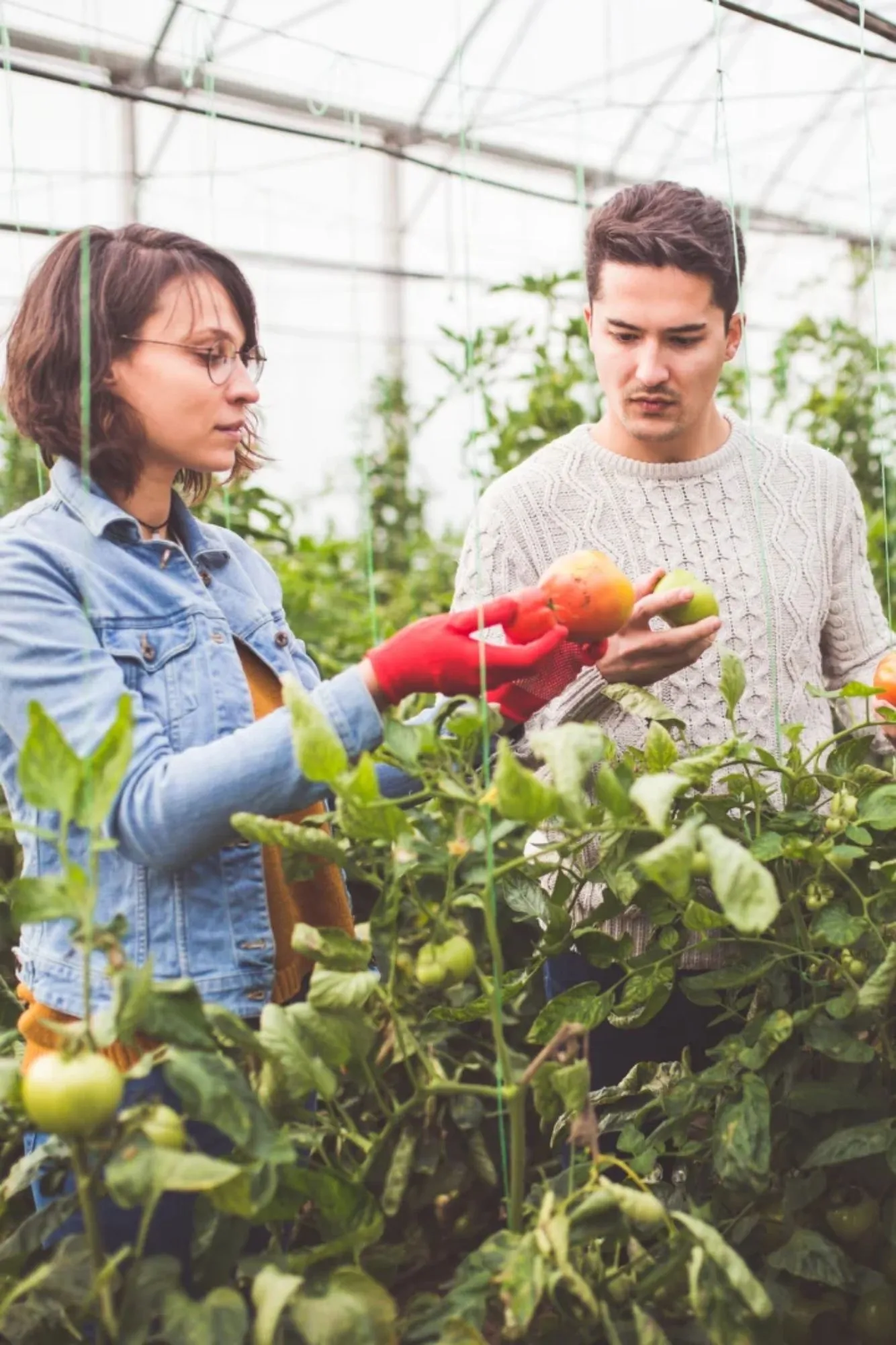 taller de agricultura Villa bosque